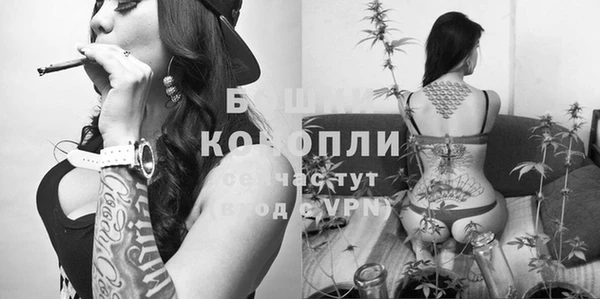 мдпв Вязьма