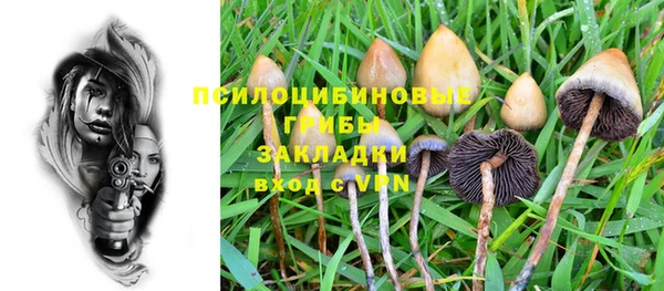 герыч Сосновка