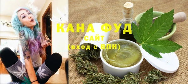 мдпв Вязьма