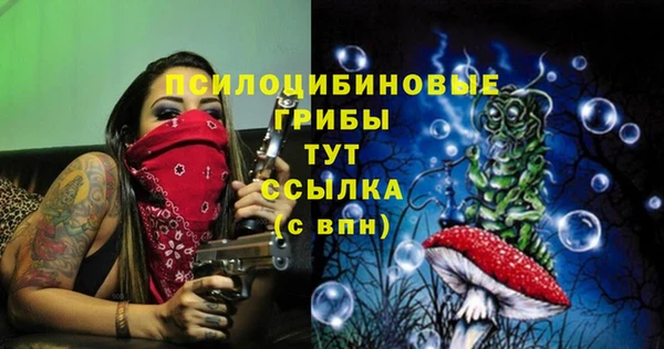ECSTASY Вяземский