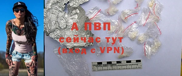 Альфа ПВП Горно-Алтайск