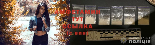 мдпв Вязьма