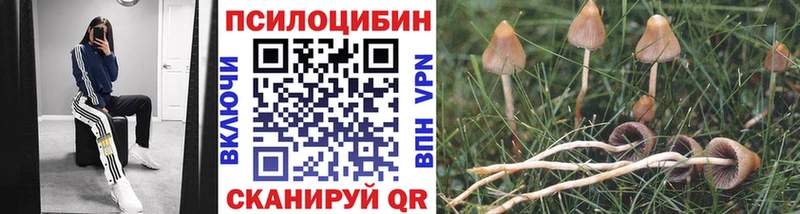 mega сайт  Донецк  Галлюциногенные грибы ЛСД 