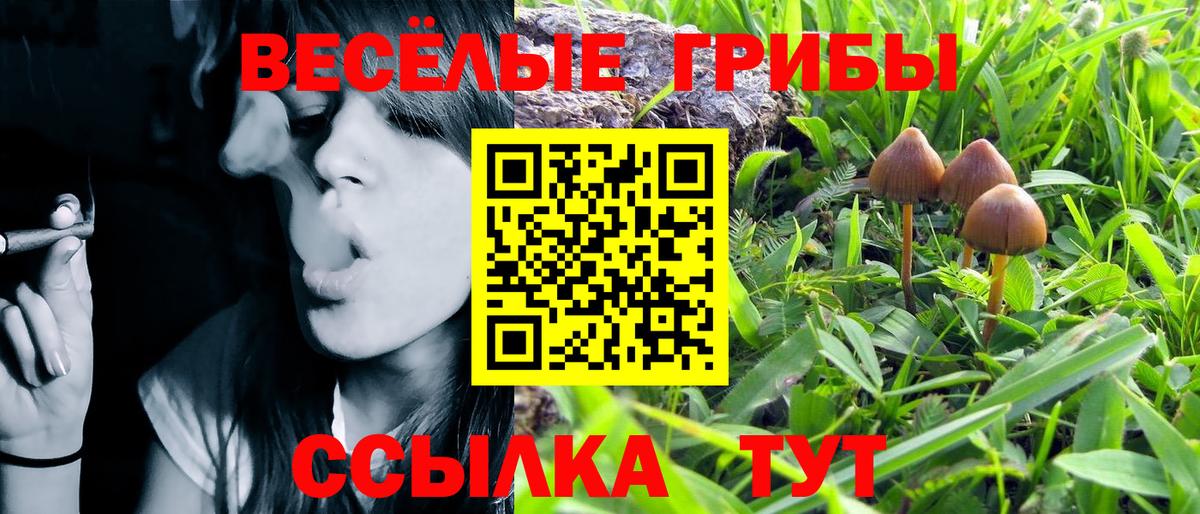 Галлюциногенные грибы Cubensis  Донецк 