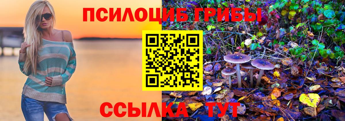 Галлюциногенные грибы MAGIC MUSHROOMS  Вход с VPN  Донецк 