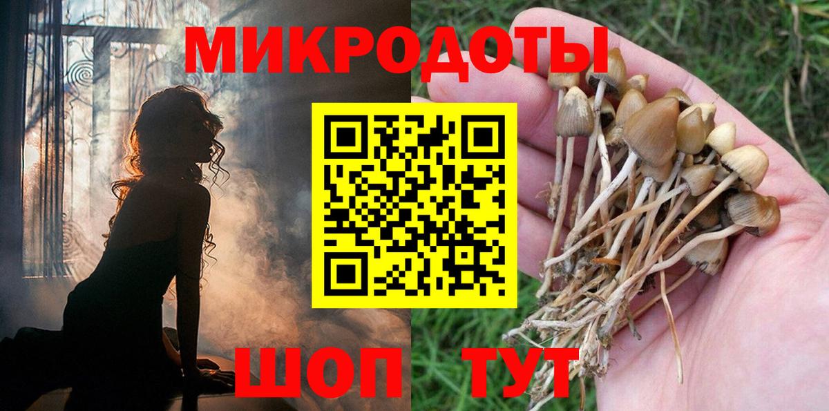 Галлюциногенные грибы Magic Shrooms Донецк